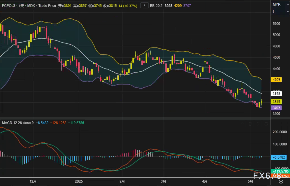 【XM官网】MPOB数据倒计时!棕榈油技术面发出“黄牌警告”?(图2) 【XM官网】MPOB数据倒计时!棕榈油技术面发出“黄牌警告”?(图2)